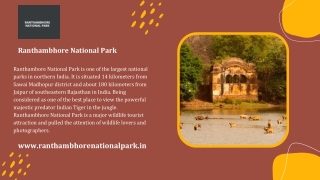 Ranthambore Tour Packages