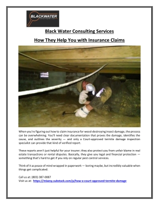 How to File Wood-Destroying Insect Damage Claim South Carolina