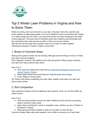 Top 5 Winter Lawn Problems in Virginia and How to Solve Them