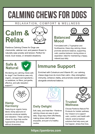 Calming Chews for Dogs – Relaxation, Comfort & Wellness by Pambros