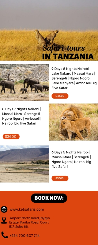 Safari Tours in Tanzania: Discover Africa’s Ultimate Wildlife Adventure