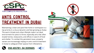 Ensuring a Pest-Free Environment with Professional Ants Control Treatment In Dubai