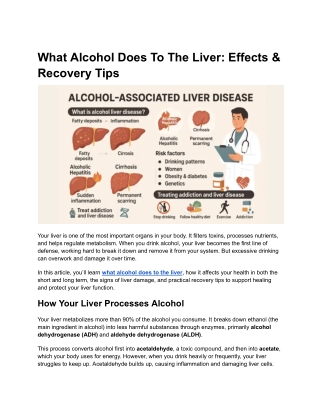What Alcohol Does to the Liver: Effects & Recovery Tips