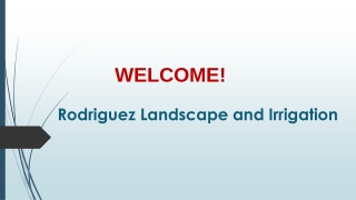 Best Irrigation Repair in Hemet