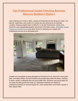 Can Professional Carpet Cleaning Services Remove Stubborn Stains