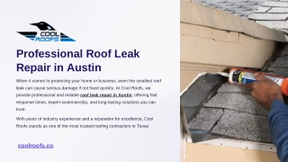 Professional Roof Leak Repair in Austin - Cool Roofs (1)