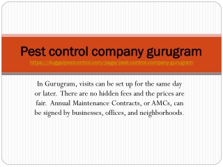 Pest control company gurugram