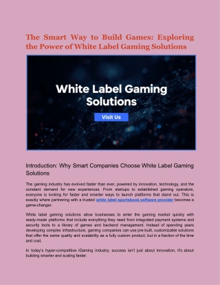 The Smart Way to Build Games Exploring the Power of White Label Gaming Solutions