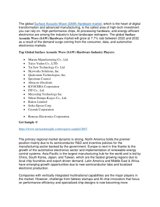 Surface Acoustic Wave (SAW) Hardware Market