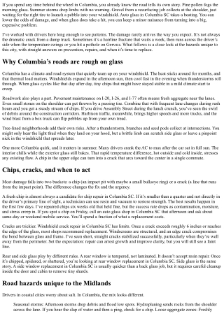 Auto Glass Columbia SC: City Driving Hazards and Prevention