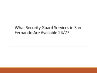 What Security Guard Services in San Fernando Are Available 24/7?