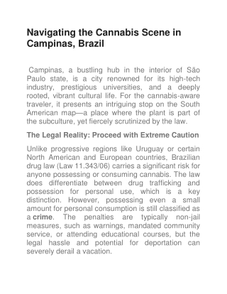 Navigating the Cannabis Scene in Campinas, Brazil