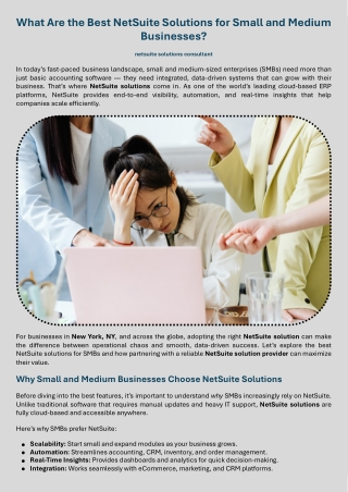 What Are the Best NetSuite Solutions for Small and Medium Businesses