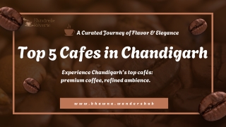 Top 5 Cafes in Chandigarh You Must Visit for Coffee, Food, and Cozy Vibes