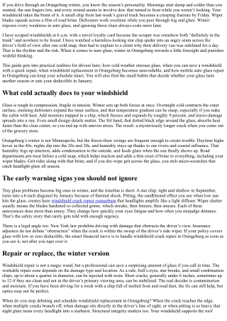 Winter Windshield Care: Orangeburg Repair and Replacement Guide