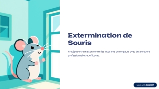 Exterminateur de souris à Gatineau – Protégez votre maison contre les dommages c