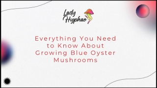 Everything You Need to Know About Growing Blue Oyster Mushrooms.pdf