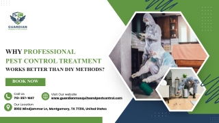 Why Professional Pest Control Works Better Than DIY