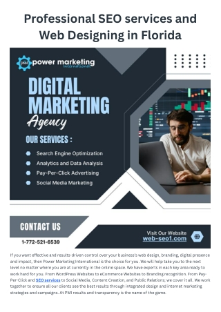 Professional SEO services and Web Designing in Florida