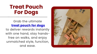 Treat Pouch For Dogs