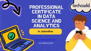 Professional Certificate In Data Science And Analytics