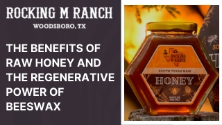 The Benefits of Raw Honey and the Regenerative Power of Beeswax (1)