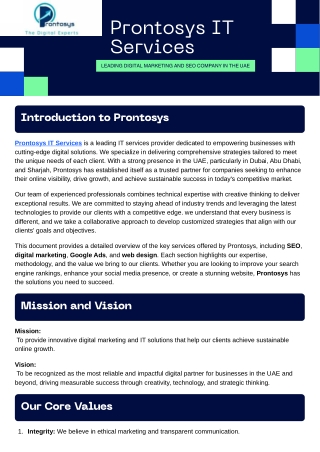 Prontosys IT Services-Leading Digital Marketing and SEO Company in the UAE