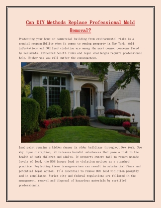 Can DIY Methods Replace Professional Mold Removal?