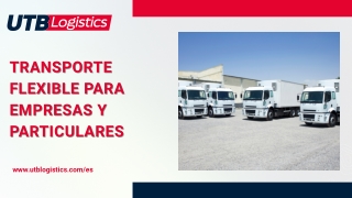 Opciones de Transporte Personalizadas para Cada Requisito