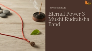 Spiritual Balance 3 Mukhi Rudraksha Necklace