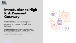 Introduction to High Risk Payment Gateway