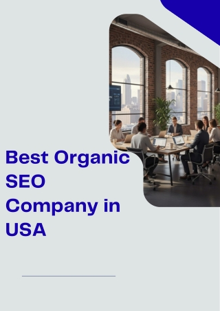 SEO Company in USA