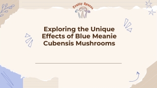 Exploring the Unique Effects of Blue Meanie Cubensis Mushrooms