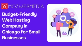 Budget-Friendly Web Hosting Company in Chicago for Small Businesses