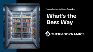 Introduction to Deep-Freezing: Best Ways to Store Goods Safely