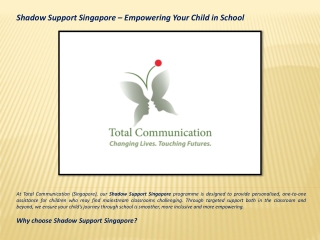 Shadow Support Singapore
