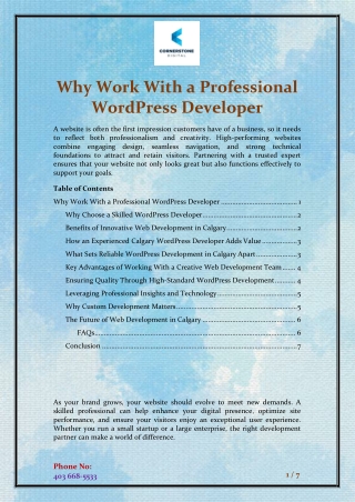 Why Work With a Professional WordPress Developer