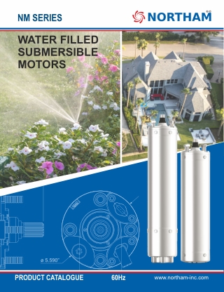 4″ Submersible Water Filled Pump Motor in USA - Northam Inc