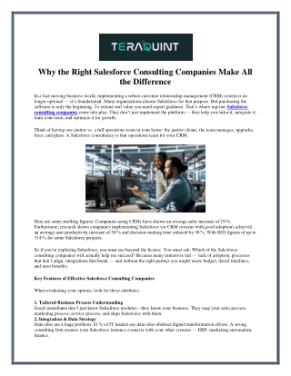 TeraQuint INC | Leading Tech & Strategy Consulting Firm