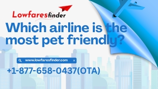 Which airline is the most pet friendly
