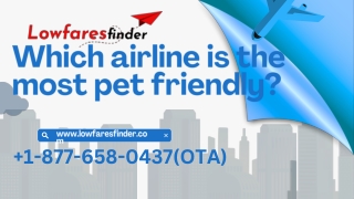 Which airline is the most pet friendly