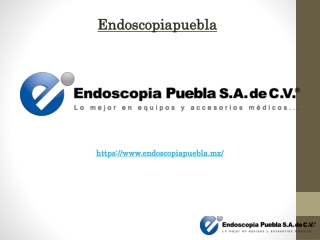 Neuro endoscopio