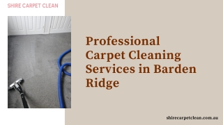 Professional Carpet Cleaning Services in Barden Ridge