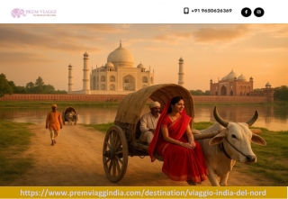 Viaggio in india del nord