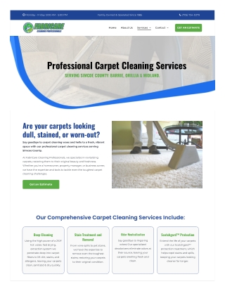 www-fabricarecleaning-ca-carpet-cleaning (2)