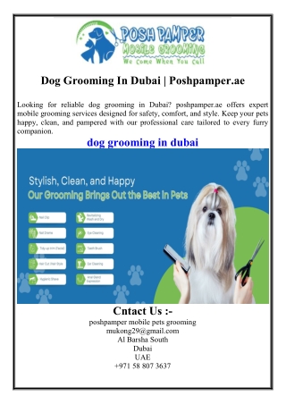 Dog Grooming In Dubai  Poshpamper.ae