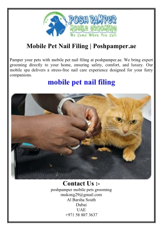 Mobile Pet Nail Filing  Poshpamper.ae