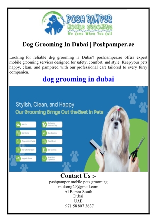 Dog Grooming In Dubai  Poshpamper.ae