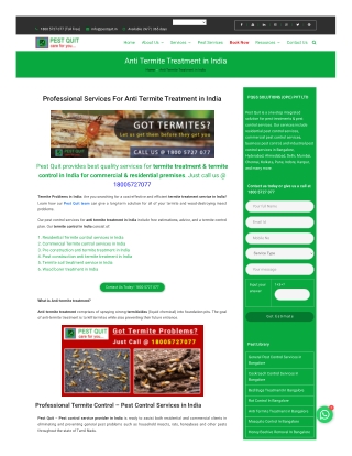 Professional Services For Anti Termite Treatment in India
