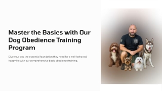 Master-the-Basics-with-Our-Dog-Obedience-Training-Program